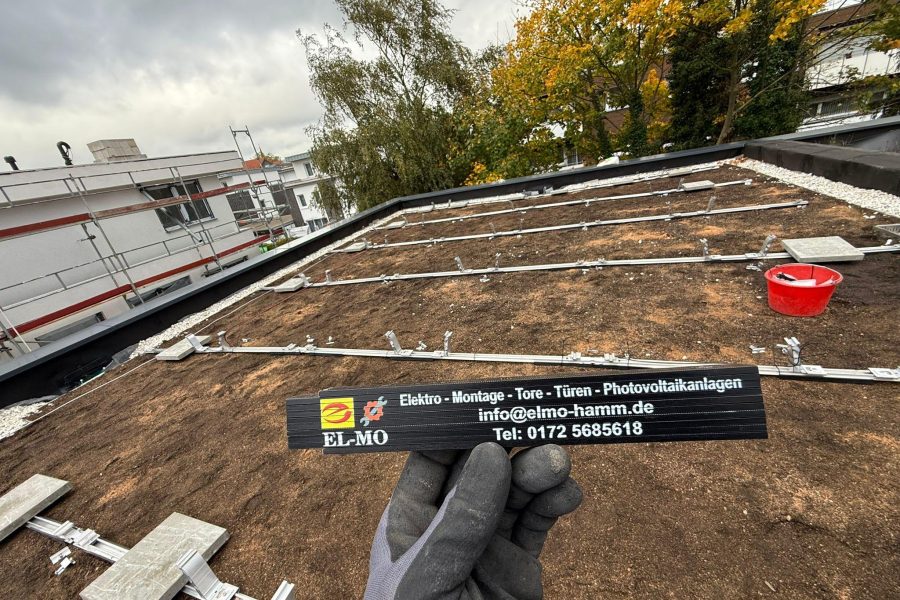 WhatsApp Image 2025-12-31 at 16.24.05